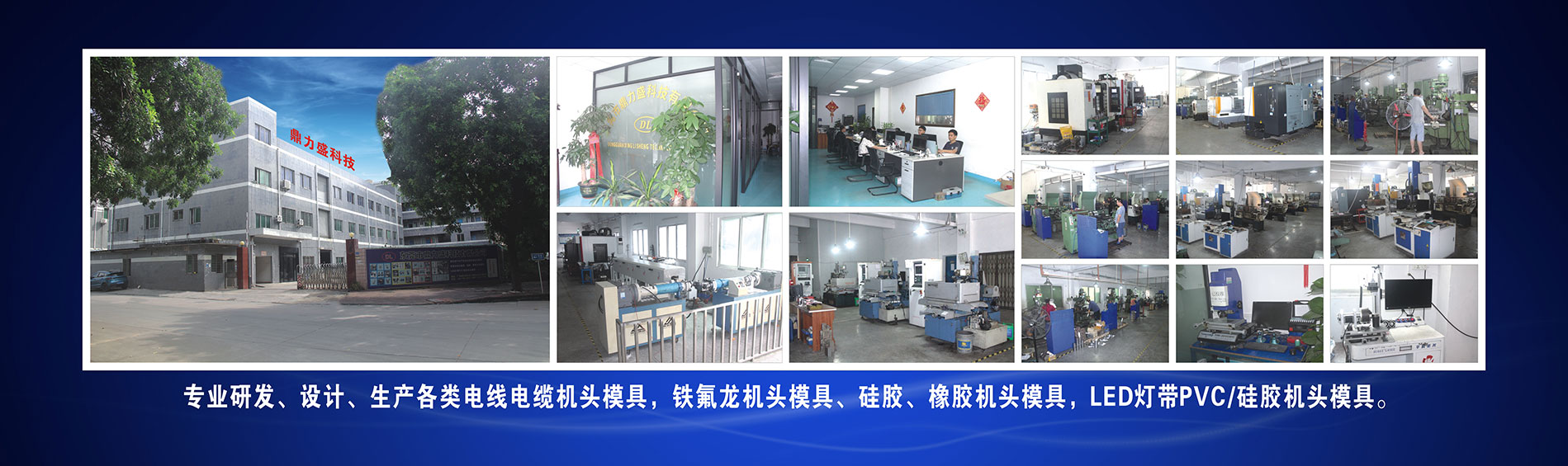 �|ݸ�ж���ʢ�Ƽ����޹�˾